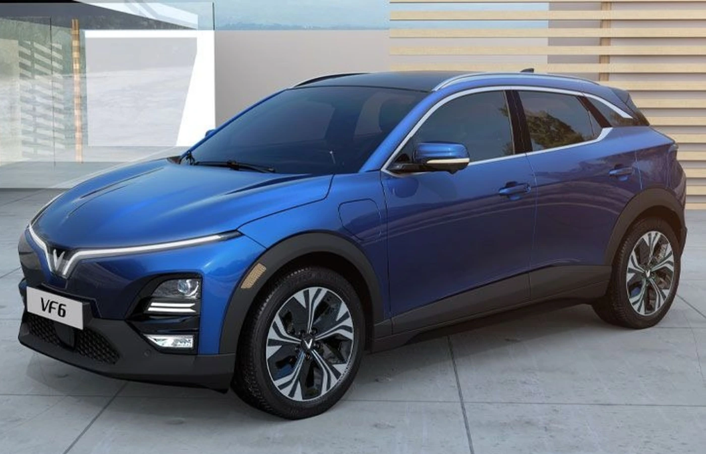 VF6 vs Windsor EV pro